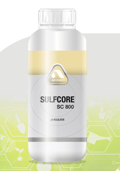 SULFCORE